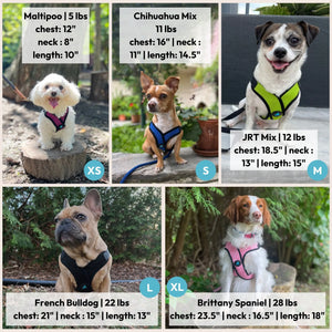Gooby: Comfort X Step-In Lite Dog Harness | Best No-Escape & Choke-Free Step-In Harness for Toy Breeds, Small & Medium Dogs | Ultra-Lightweight | Breathable Mesh | Quick-Dry | Machine Washable