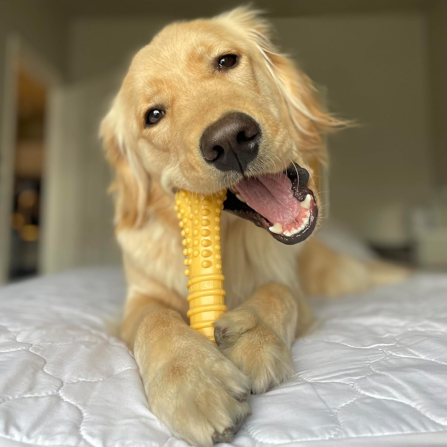 Customer Favorites Power Chew Toy Bundle for Dogs, Indestructible Dog Toys, Pack of 3 Dog Toys, Flavor Medley, Large Dogs - 3 Pack