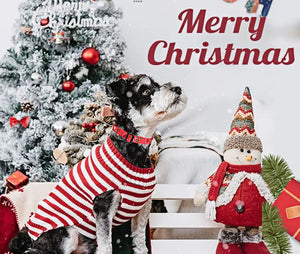 Christmas Dog Collar - Premium Adjustable Dog Collar for Small Medium Large Dogs