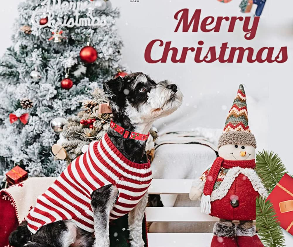 Christmas Dog Collar - Premium Adjustable Dog Collar for Small Medium Large Dogs