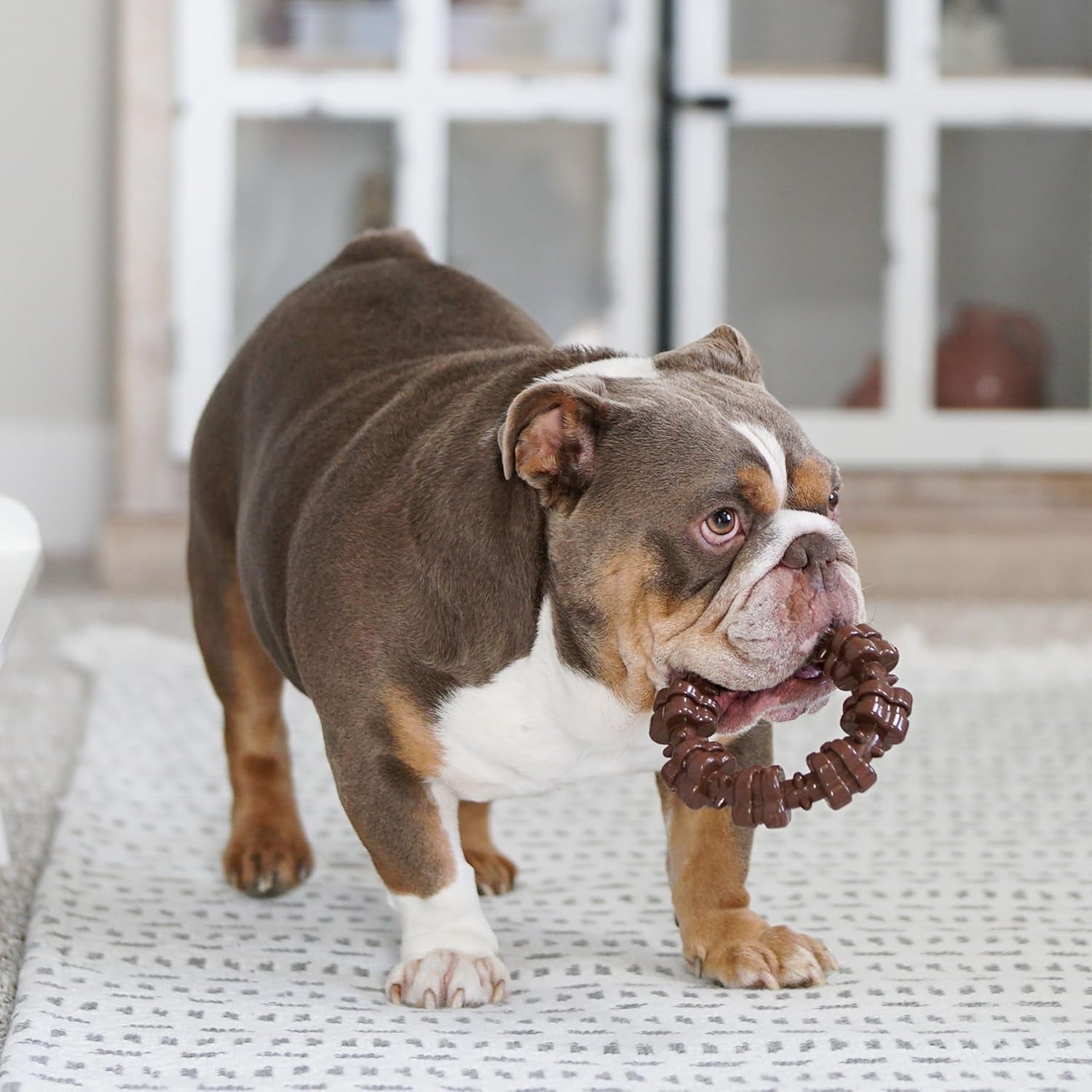 Customer Favorites Power Chew Toy Bundle for Dogs, Indestructible Dog Toys, Pack of 3 Dog Toys, Flavor Medley, Large Dogs - 3 Pack